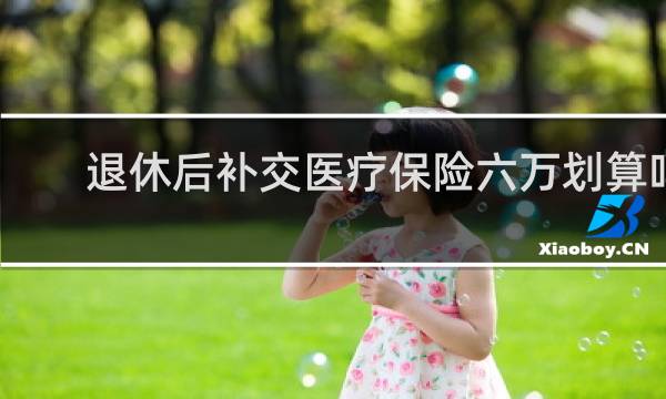 退休后补交医疗保险六万划算吗