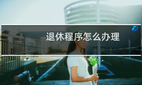 退休程序怎么办理