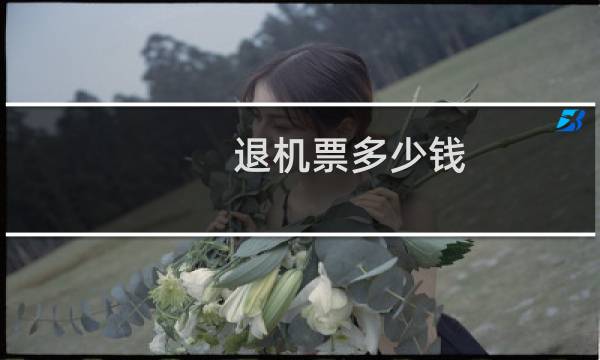 退机票多少钱