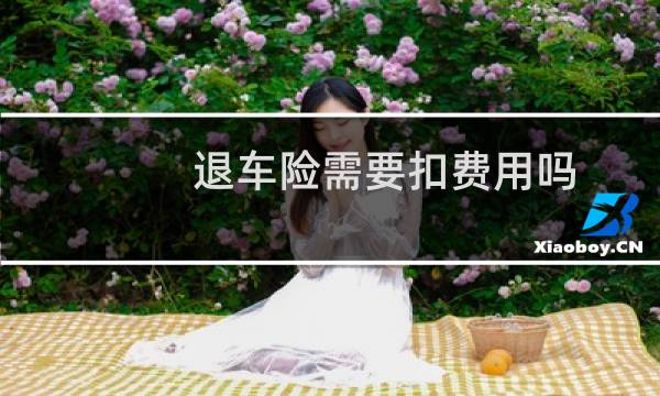 退车险需要扣费用吗