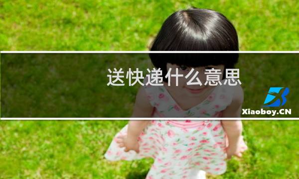 送快递什么意思