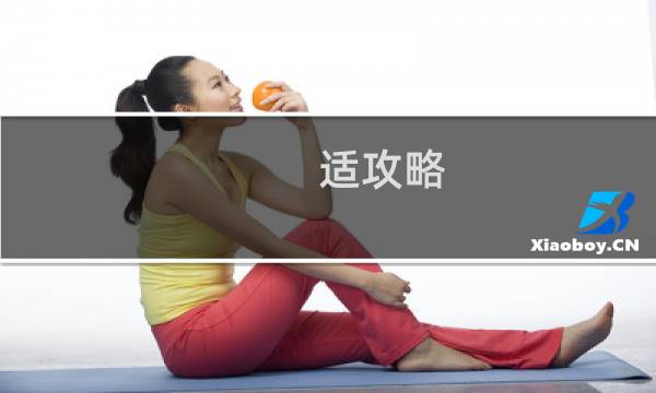 适攻略
