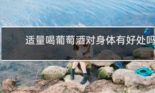 适量喝葡萄酒对身体有好处吗
