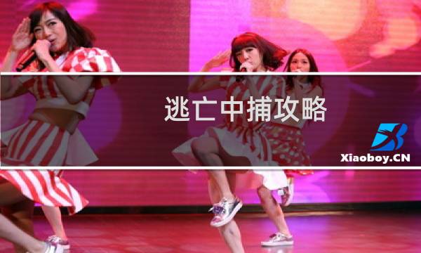 逃亡中捕攻略