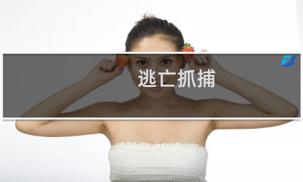 逃亡抓捕 攻略