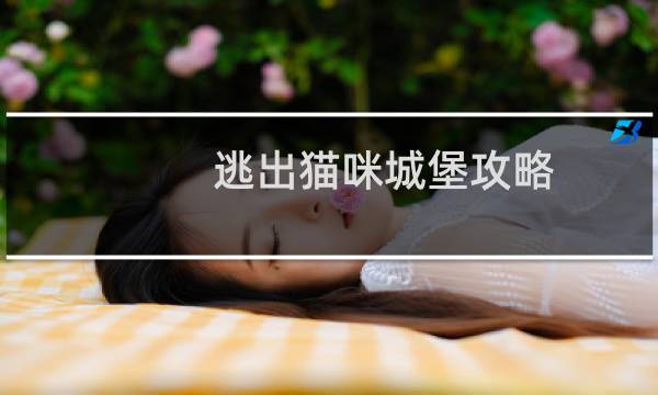 逃出猫咪城堡攻略