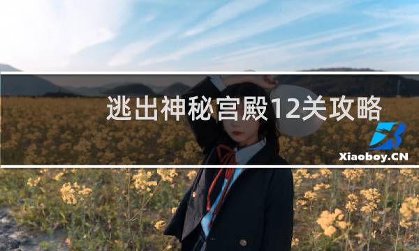 逃出神秘宫殿12关攻略