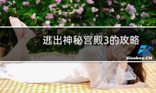 逃出神秘宫殿3的攻略