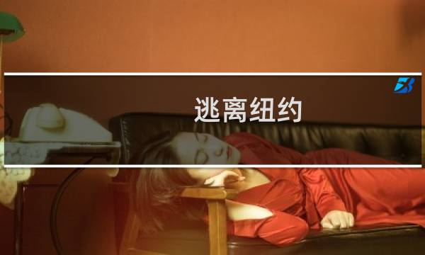 逃离纽约 攻略