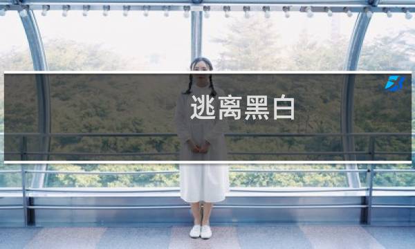 逃离黑白 攻略