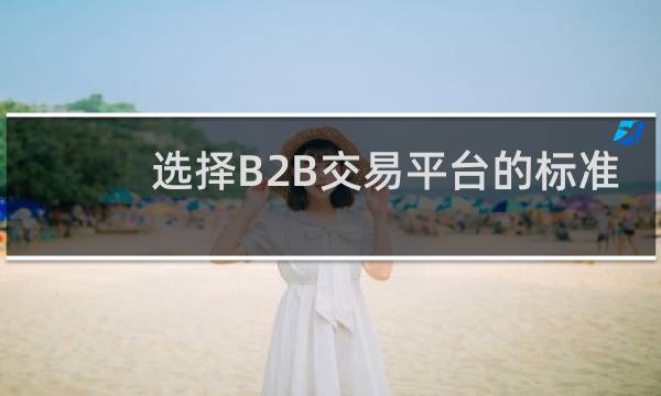 选择B2B交易平台的标准