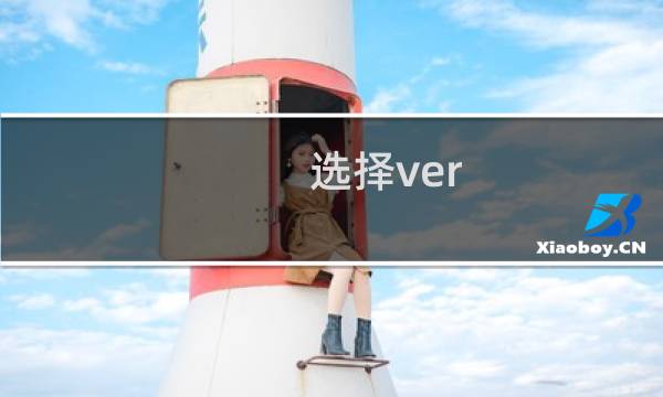 选择ver 攻略