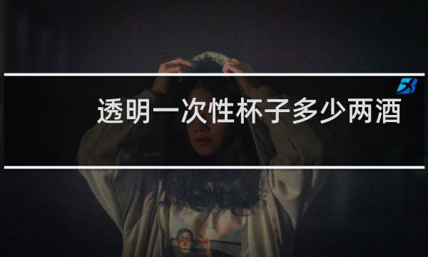 透明一次性杯子多少两酒