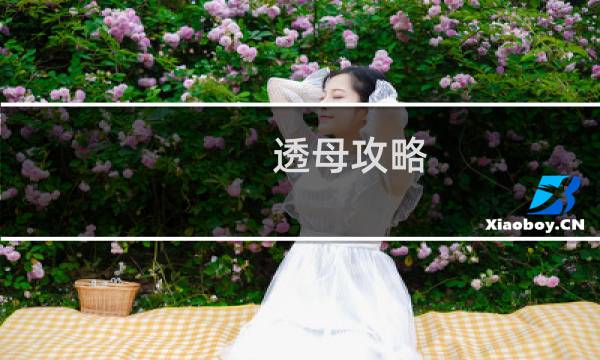 透母攻略
