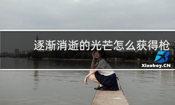 逐渐消逝的光芒怎么获得枪