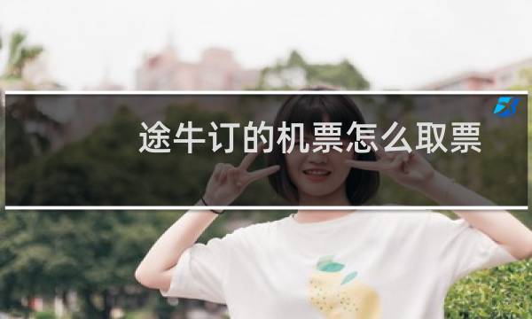 途牛订的机票怎么取票