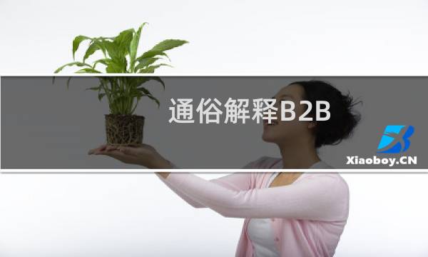 通俗解释B2B