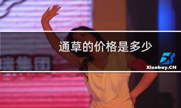 通草的价格是多少