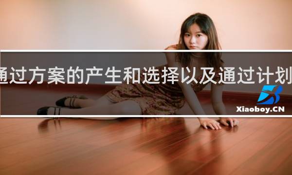 通过方案的产生和选择以及通过计划的制定