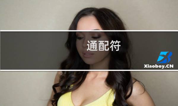 通配符 攻略word