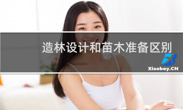 造林设计和苗木准备区别