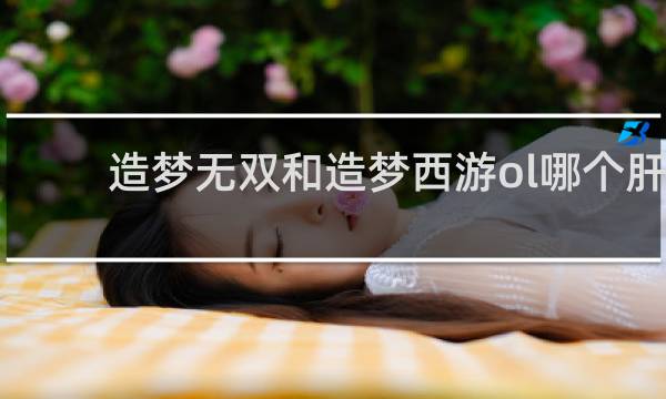 造梦无双和造梦西游ol哪个肝