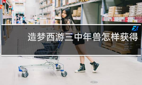 造梦西游三中年兽怎样获得