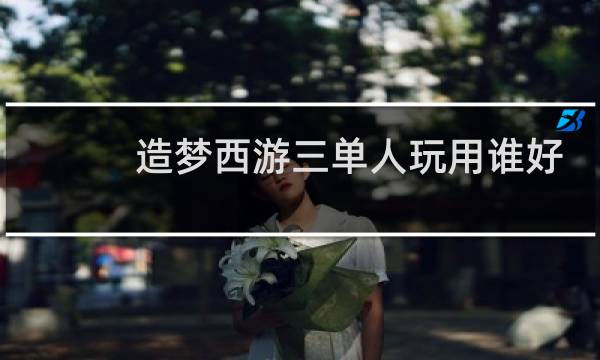 造梦西游三单人玩用谁好