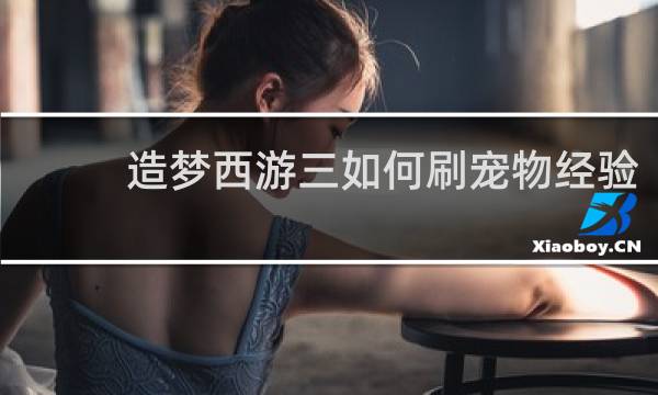 造梦西游三如何刷宠物经验