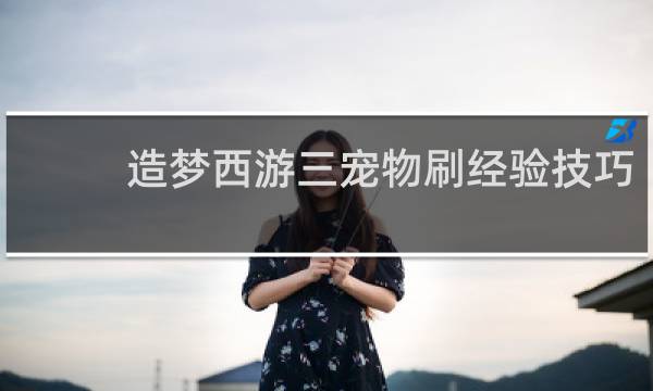 造梦西游三宠物刷经验技巧