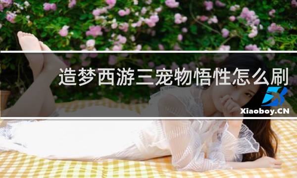 造梦西游三宠物悟性怎么刷