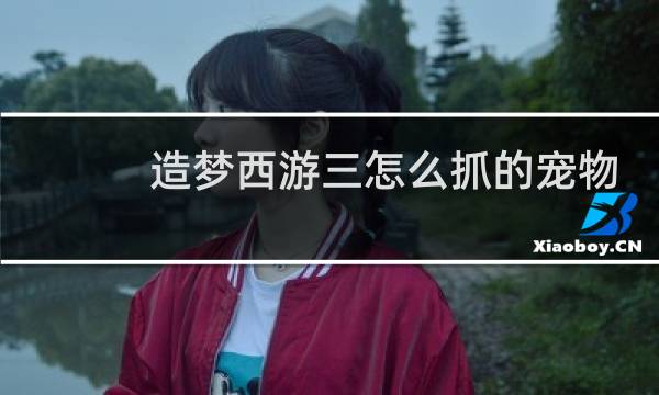 造梦西游三怎么抓的宠物