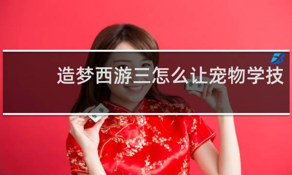 造梦西游三怎么让宠物学技