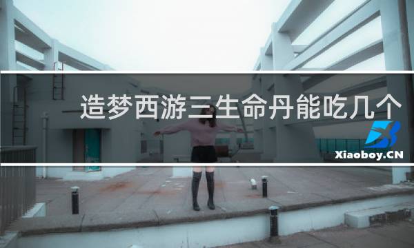 造梦西游三生命丹能吃几个