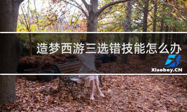 造梦西游三选错技能怎么办