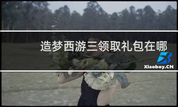造梦西游三领取礼包在哪