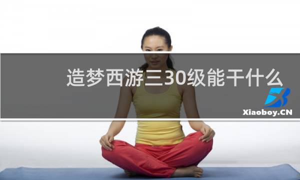 造梦西游三30级能干什么