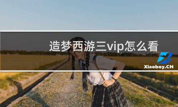 造梦西游三vip怎么看