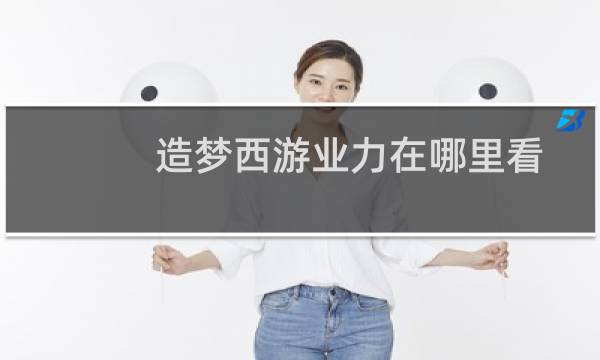 造梦西游业力在哪里看