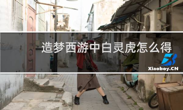 造梦西游中白灵虎怎么得