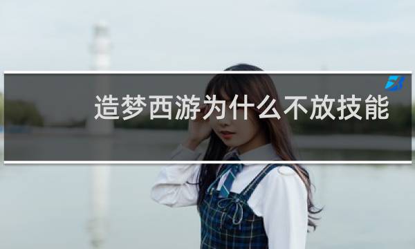 造梦西游为什么不放技能