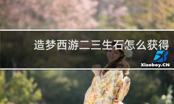 造梦西游二三生石怎么获得