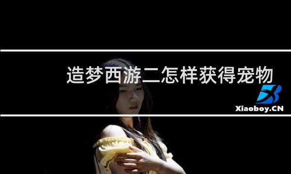 造梦西游二怎样获得宠物