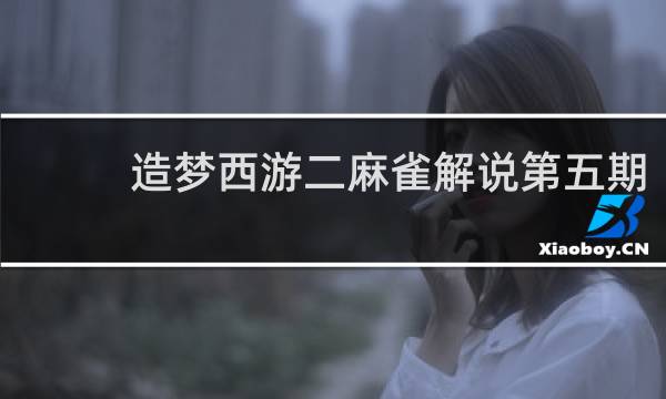 造梦西游二麻雀解说第五期