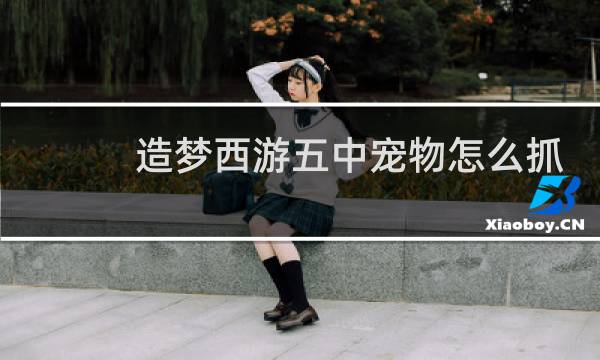 造梦西游五中宠物怎么抓