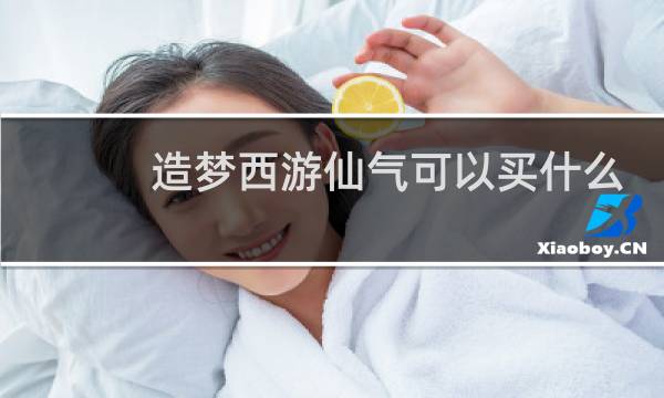 造梦西游仙气可以买什么