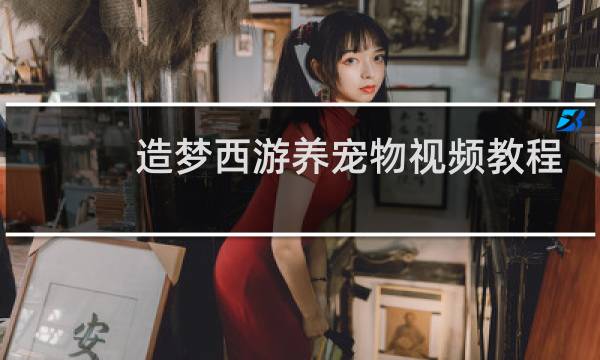 造梦西游养宠物视频教程