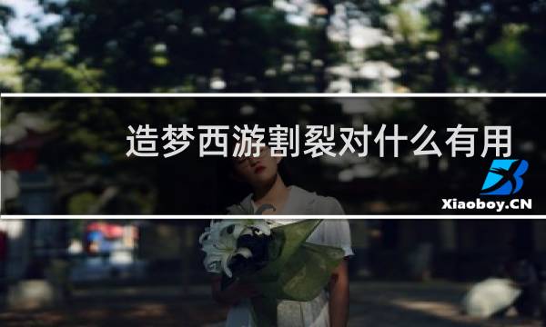 造梦西游割裂对什么有用