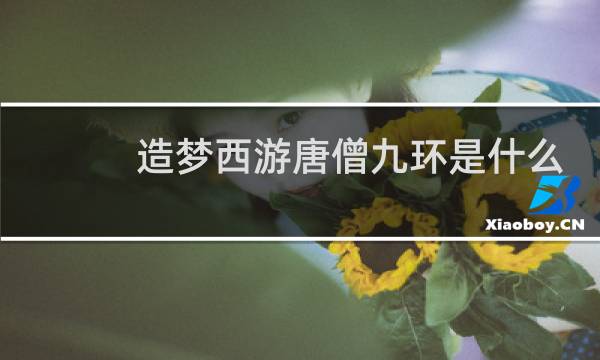 造梦西游唐僧九环是什么