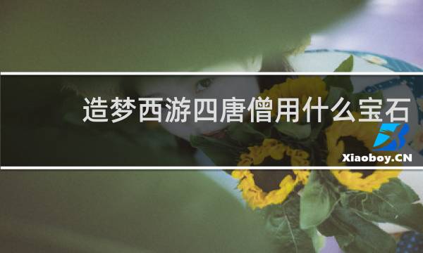 造梦西游四唐僧用什么宝石